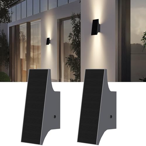Solar Lights Outdoor Up and Down (2 Count)