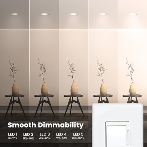 Smart Dimmer Switch