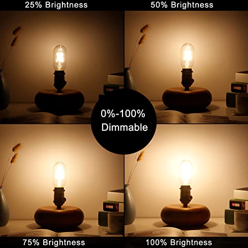 T45 E26 Light Bulb (6 Count)