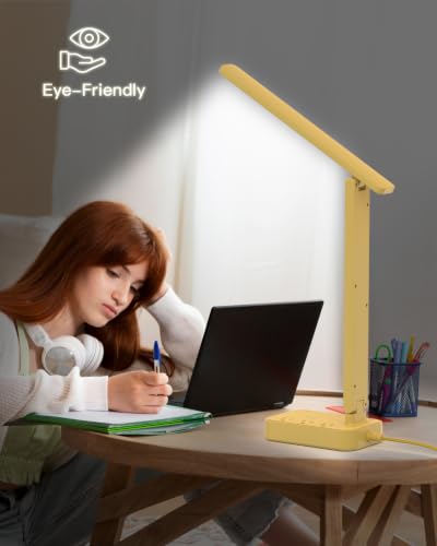 LED Desk Lamp