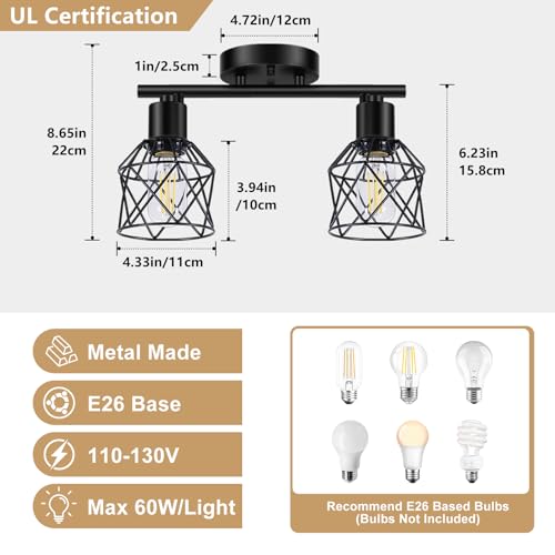 2 Lights Kitchen Light Fixtures Ceiling Mount
