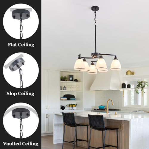6 Light Modern Chandelier Light Fixture for Dinner Room (6 Count)