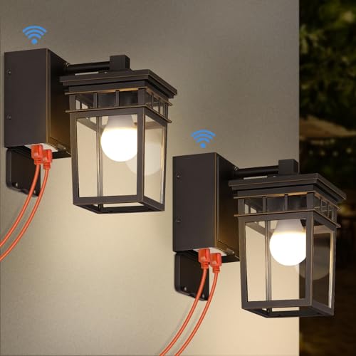 2 Pack Outdoor Porch Lights (2 Count)