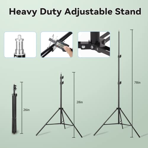Softbox Lighting Kit 2pack 20x28in Octa Soft Box