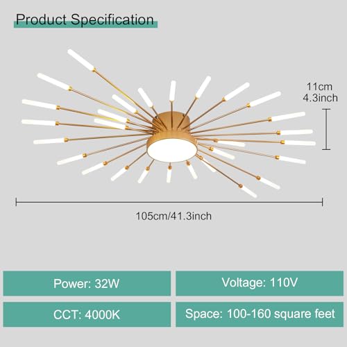 Modern Ceiling Light