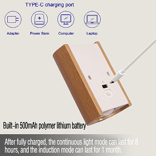 1 Pack Wood Step Light with Motion Sensor
