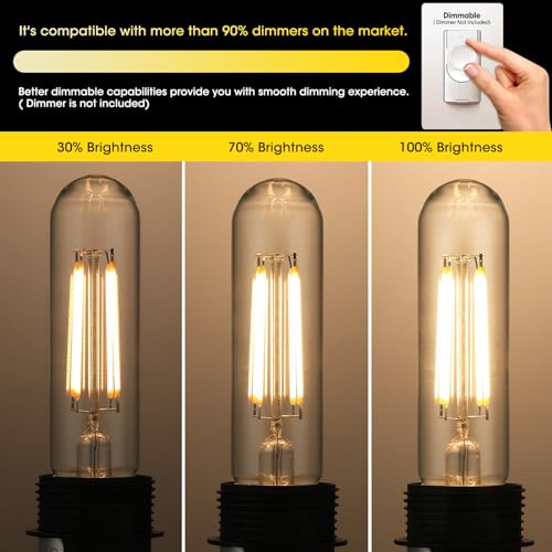 Dimmable E26 Edison Bulb (4 Count)