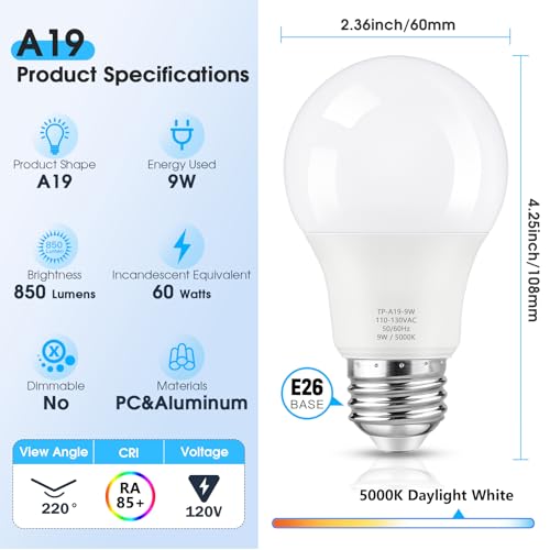 A19 LED Light Bulbs (35 Count)