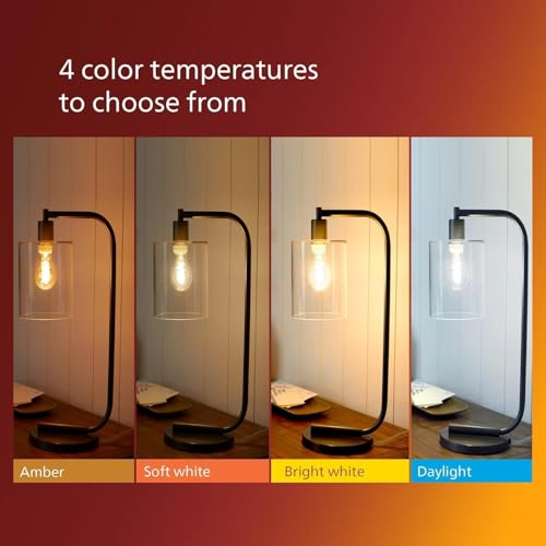 LED 75W ST19 4 (4 Count)