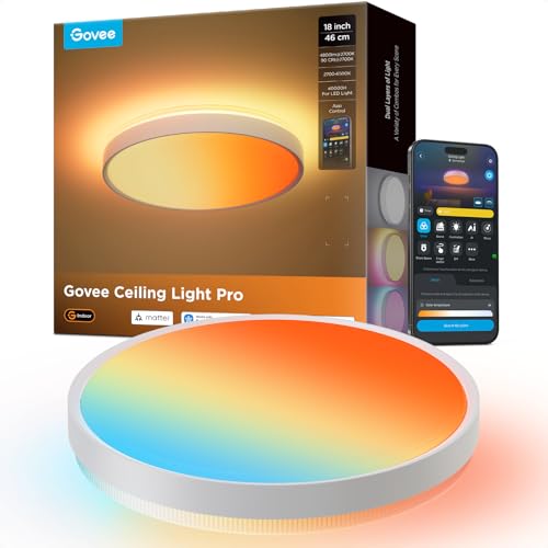 Smart Ceiling Light Pro