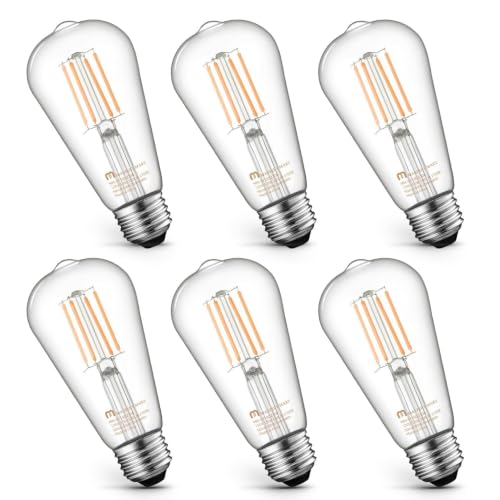 6 Pack Vintage Edison Bulbs (6 Count)