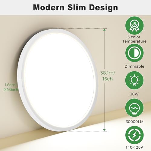 LED Flush Mount Ceiling Light