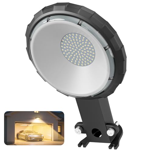 100W LED Barn Light with 10000LM 5000K Warm Light