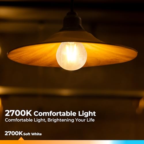 E26 G16.5 Edison Globe LED Bulb (6 Count)