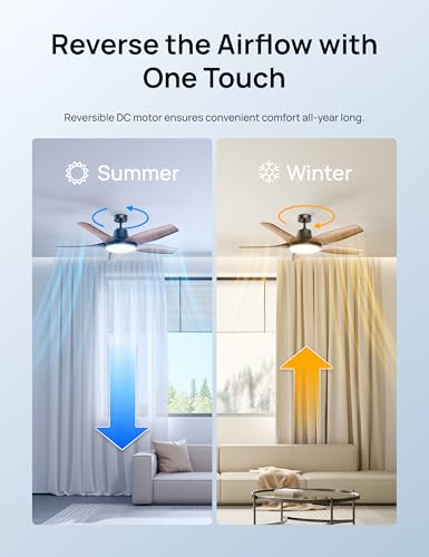 Smart RGBIC Ceiling Fans with Lights