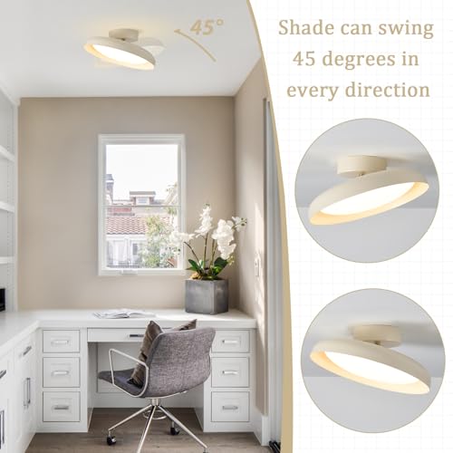 Modern LED Ceiling Light