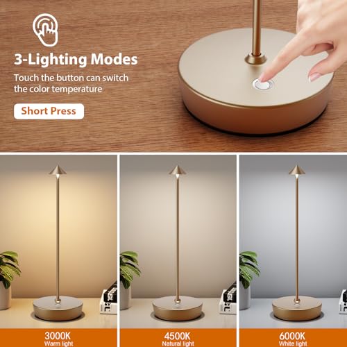 Rechargeable Cordless Table Lamp