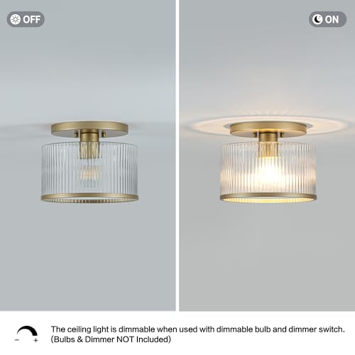 Glass Ceiling Light