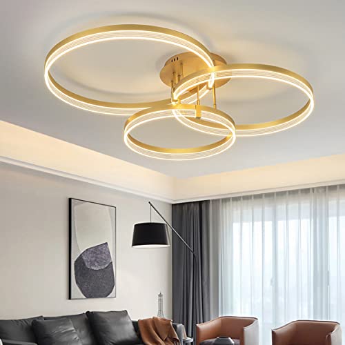 Chaners Ceiling Light Acrylic Ring Ceiling Light LED with Remote Control Dining Room Bedroom Lamp Living