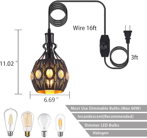 Hanging Lamp Swag Lights Plug in Pendant Light