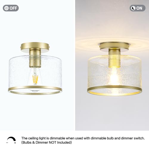 Modern Flush Mount Ceiling Light
