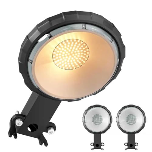 100W LED Barn Light with 10000LM 5000K Warm Light (2 Count)