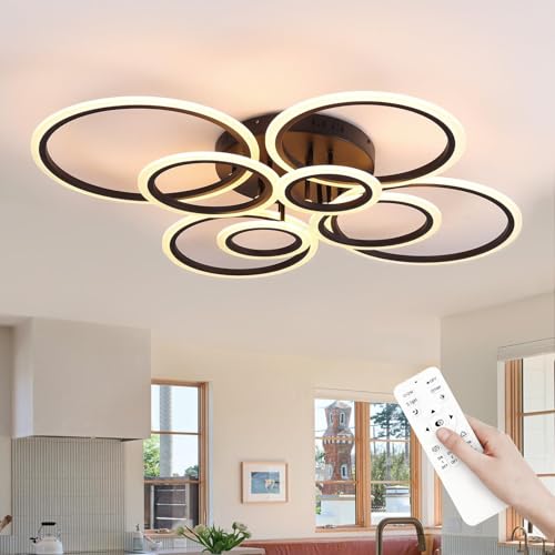 Modern Ceiling Light Fixture
