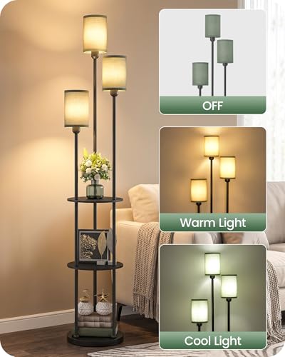 Floor Lamp with Shelves