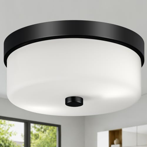 Black Flush Mount Ceiling Light Fixtures