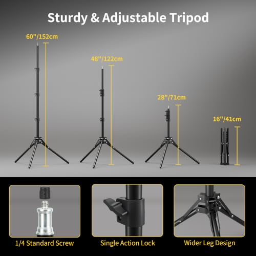 Softbox Photography Lighting Kit