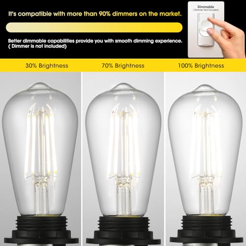 LED Edison Light Bulbs (12 Count)