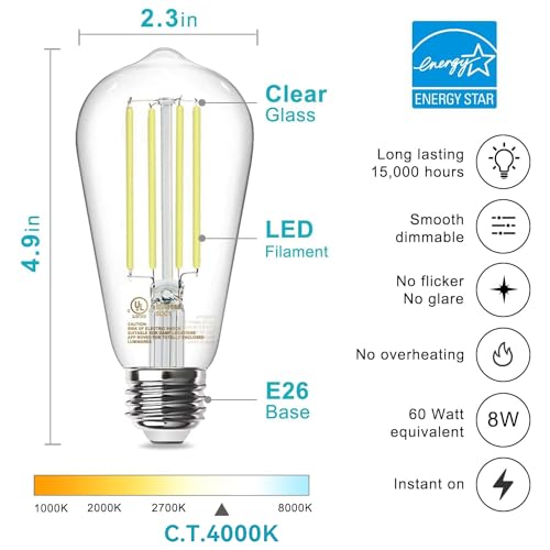LED Edison Light Bulbs (10 Count)