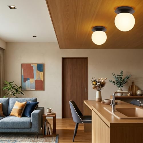 1 Pack Matte Black Wall Sconce