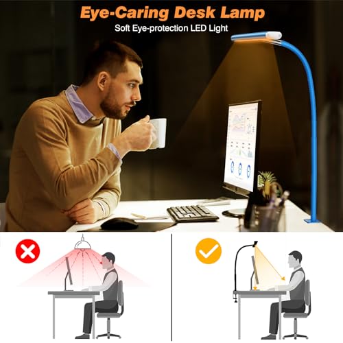LED Desk Lamp with Clamp