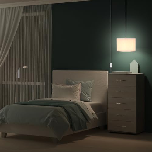 Plug in Pendant Light