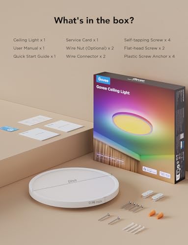 Smart Ceiling Light