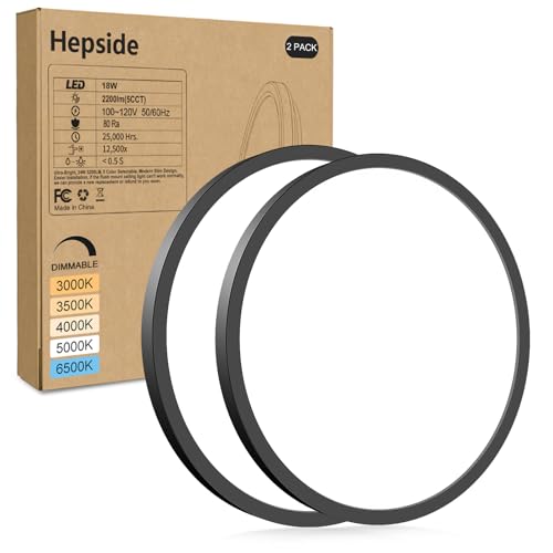 2Pack LED Flush Mount Ceiling Light Fixture
