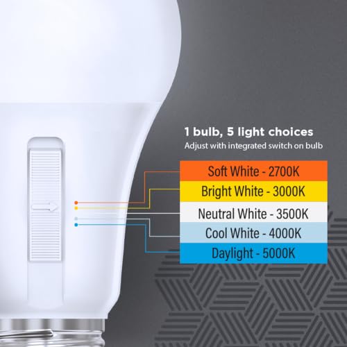 A19 LED Light Bulb (10 Count)