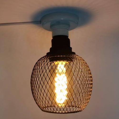 E26 Edison Decorative Light Bulb with Black Metal Cage Vintage Unique Light Fixture