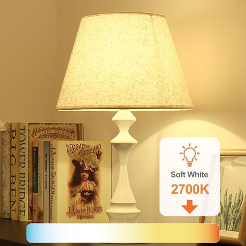 24 Pack A19 LED Light Bulb (24 Count)