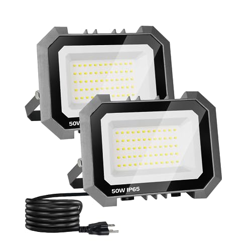 2 Pack LED Flood Lights Outdoor (2 Count)