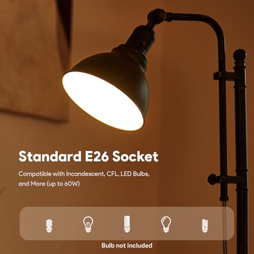 Rustic Desk Lamp