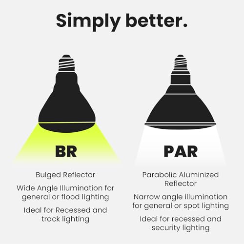 BR30 LED Light Bulbs (6 Count)