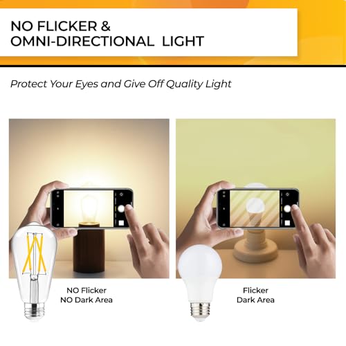 Edison Bulbs Dimmable (18 Count)