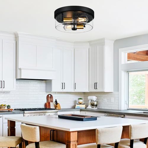 Flush Mount Ceiling Light Fixtures