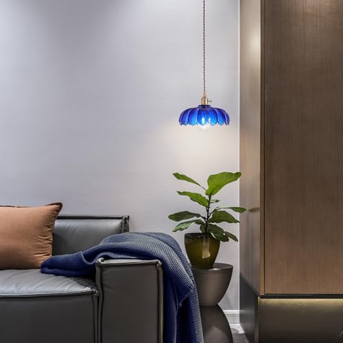Plug in Pendant Light