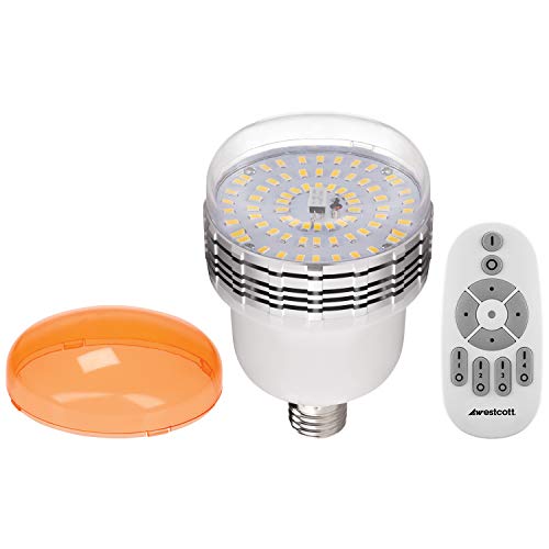 uLite LED 2 Light Umbrella Continuous Lighting Kit