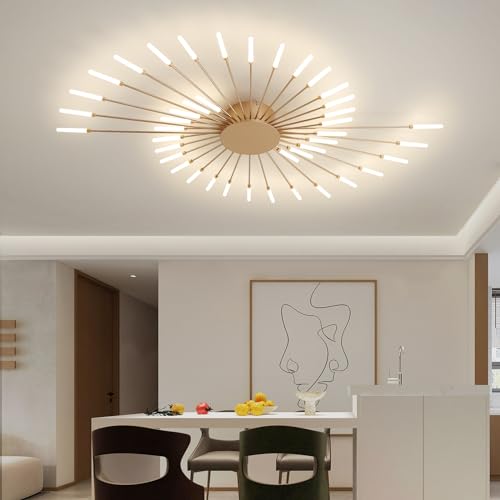 Modern Ceiling Light