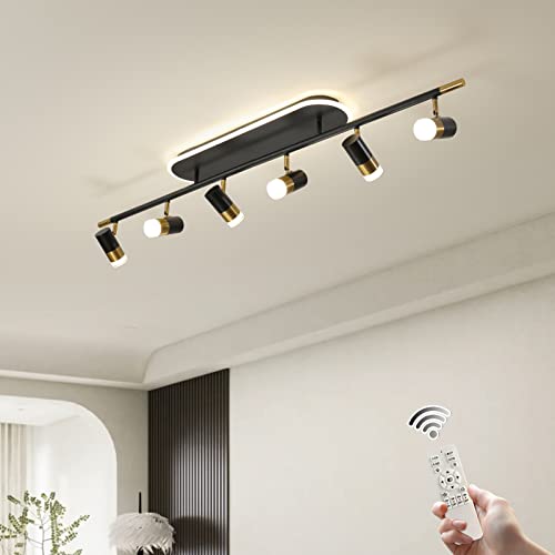 Modern LED Ceiling Lights