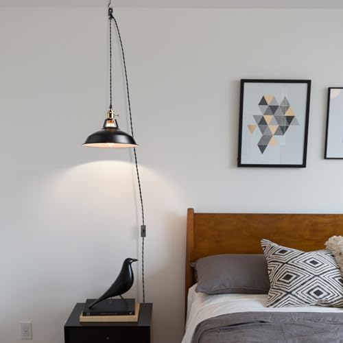 Industrial Plug in Pendant Light